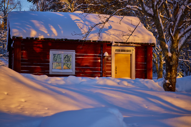 Canon RF 85 macro_3w.jpg