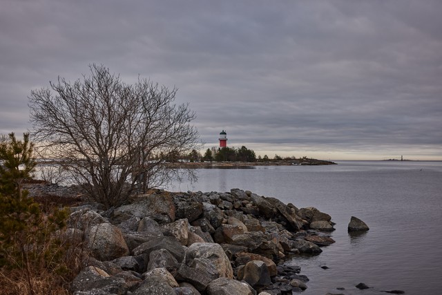 Canon RF 24-50mm_10w.jpg