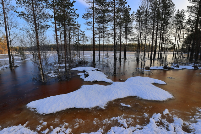 canon eos 1dx mark III_5w.jpg