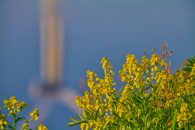 Panasonic S 70_300mm_14w.jpg