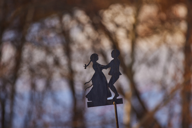 Canon RF 800 f11_1w.jpg