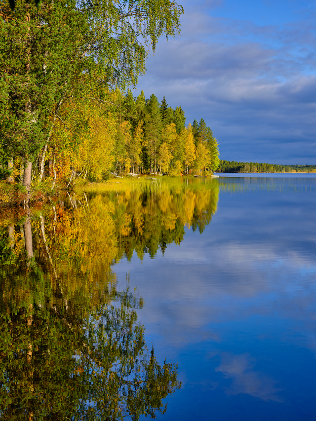 Fujifilm GF 35 70mm_28w.jpg