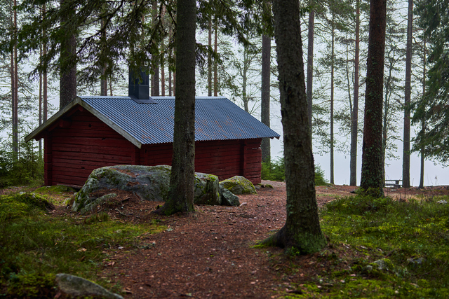 Samyang 50mm f1.4 II_9w.jpg