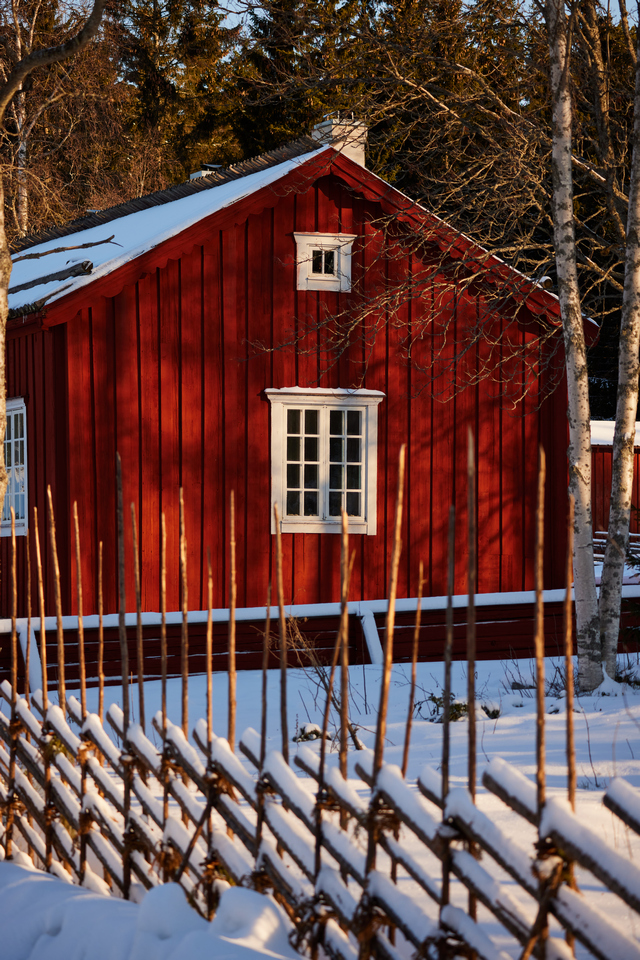 Canon RF 100-400mm_2w.jpg