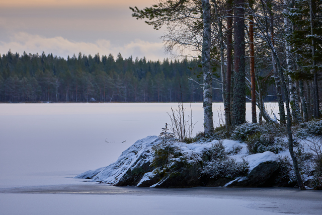 Sony E 70-350G OSS_9w.jpg