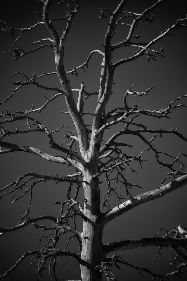 Tamron 150-300_4w.jpg