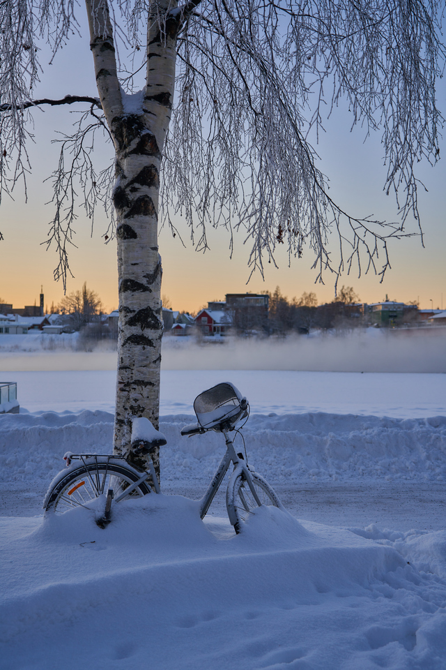 Tamron 20-40mm_7w.jpg