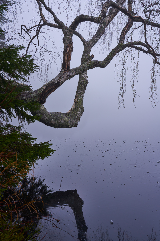 Tamron 28-75mm G2 So_29w.jpg