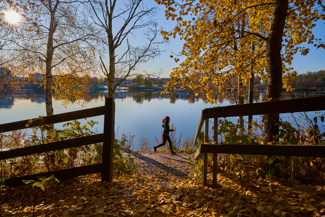 sigma_14 24 2.8_sony_9w.jpg