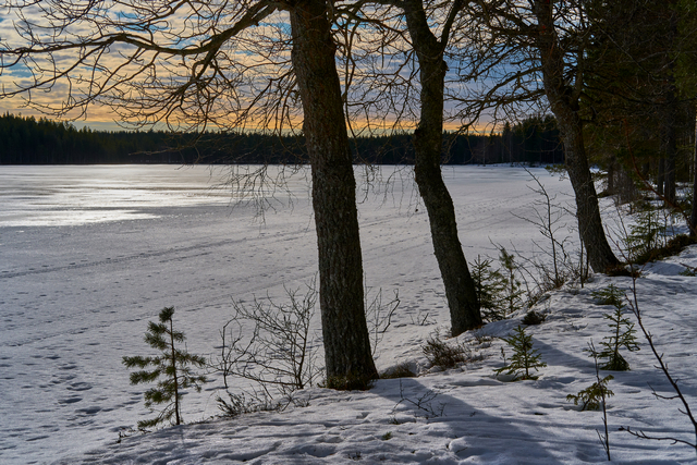 Fujifilm XC 35 f2_11w.jpg