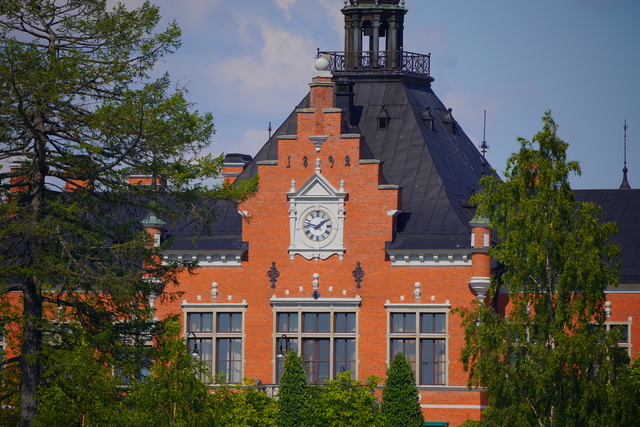 sony_fe_200 600mm_5w.jpg