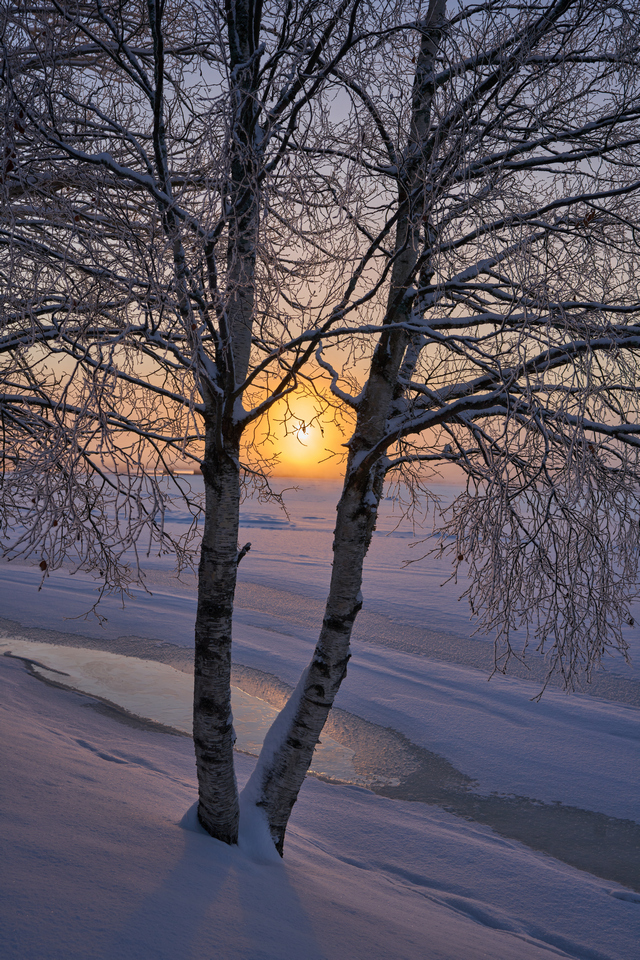 Tamron 20-40mm_23w.jpg