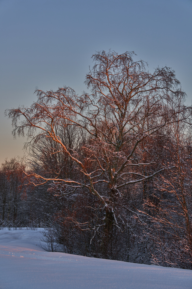 Sigma 60-600mm DN_3w.jpg