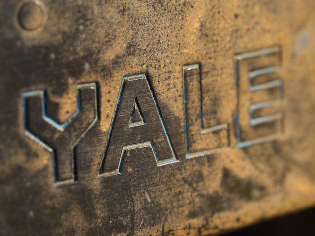 OM System 90mm macro_19w.jpg