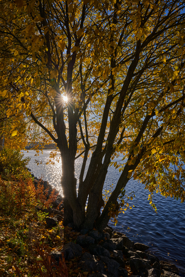 Sigma 24mm f1.4 DN_18w.jpg