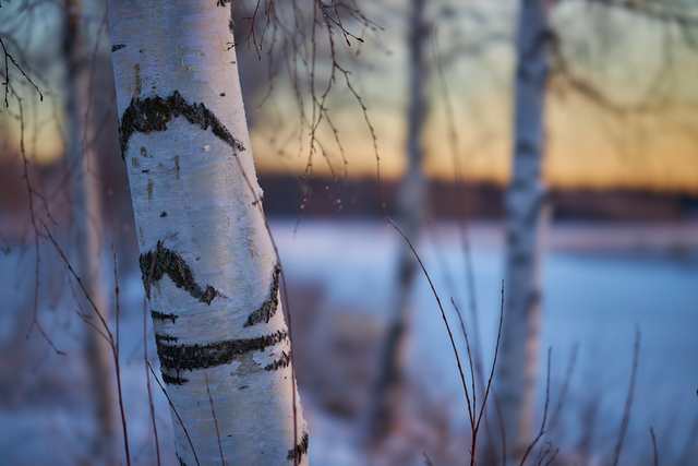 Canon RF 85_1,2 L USM DS_6w.jpg