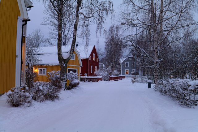 Panaosonic S 35mm f1.8_9w.jpg