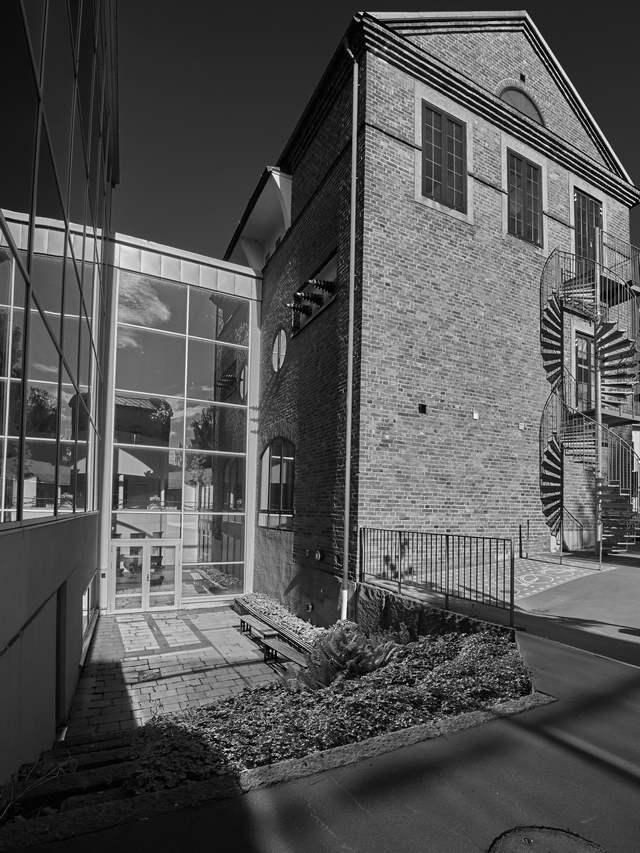 Olympus 8-25mm f4_19w.jpg