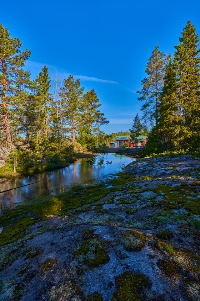 Sony 14mm f1.8_27w.jpg