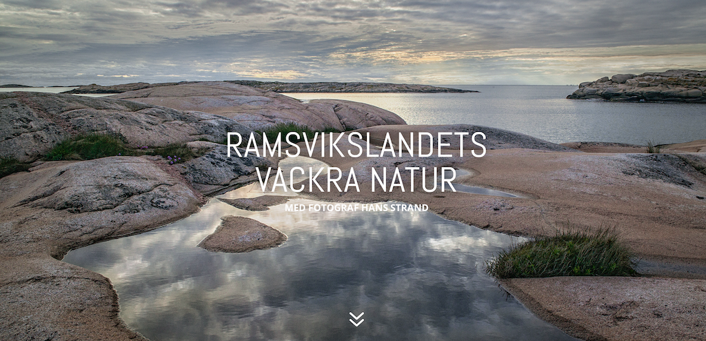 Skärmavbild 2021-05-05 kl. 11.56.09.png