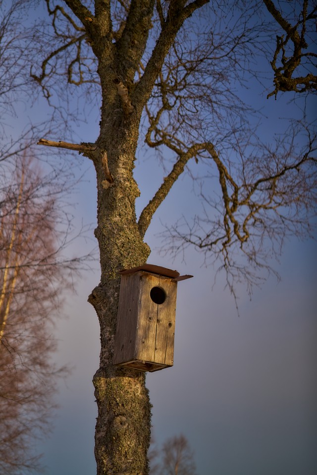 Sigma 50mm f1.4 DN_26w.jpg