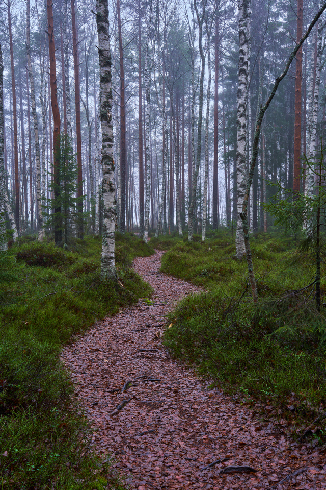 Tamron 28-75mm G2 So_21w.jpg