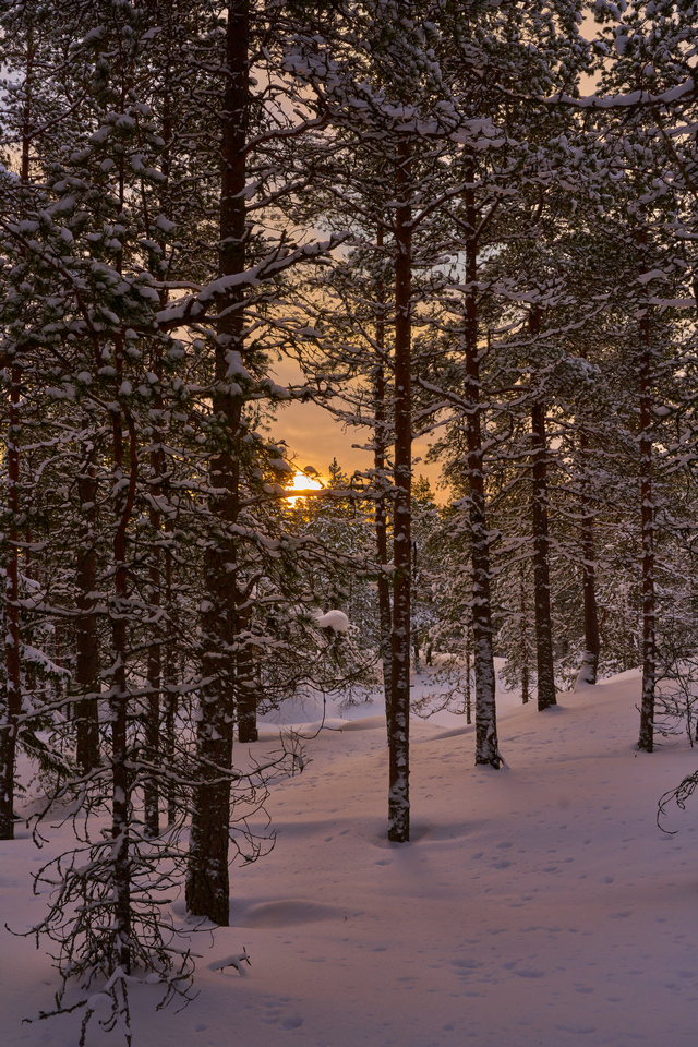 Sigma 35mm f2_7w.jpg