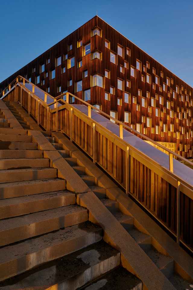 Nikon Z 14_24 f2.8_12w.jpg