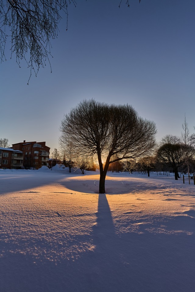 Panasonic 18mm f1.8_19w.jpg