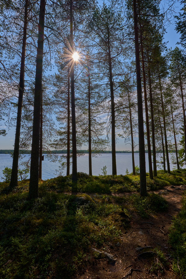 Tamron 11-20mm_3w.jpg