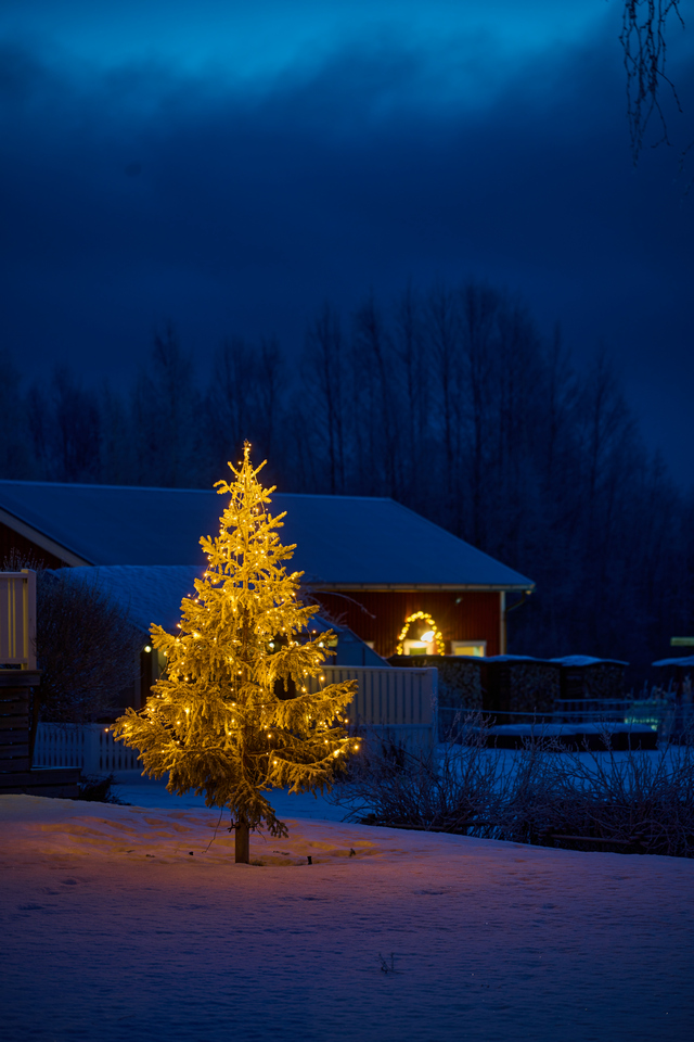 Nikon Z 24-120mm_18w.jpg