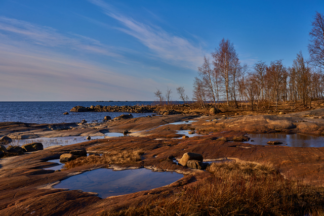 Sony 40mm f2.5_5w.jpg