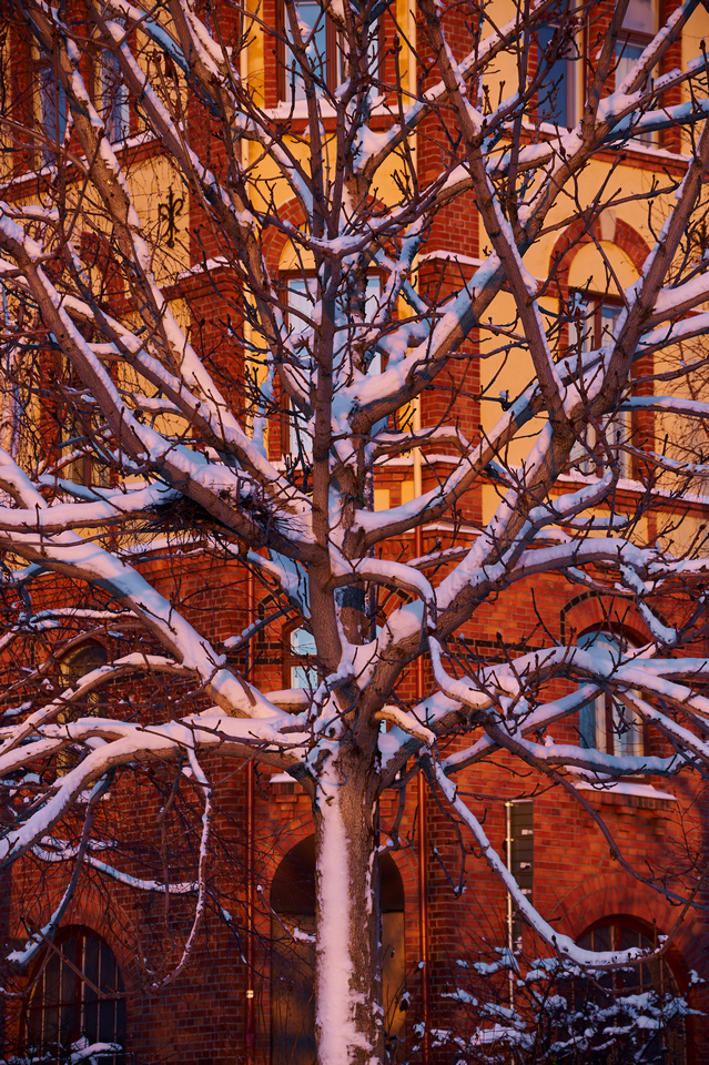 Nikon Z 18-140mm_10w.jpg