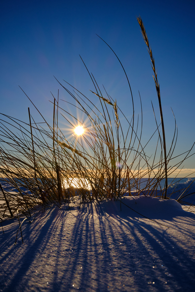 Fujifilm XF 23mm f1,4_8w.jpg