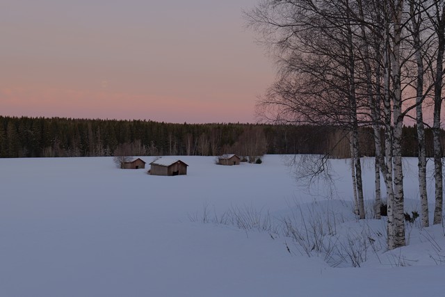 Panasonic S5 II_1w.jpg