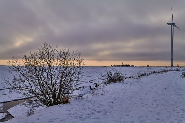 Panaosonic S 35mm f1.8_17w.jpg