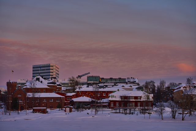 Sigma 105mm macro Sony_5w.jpg