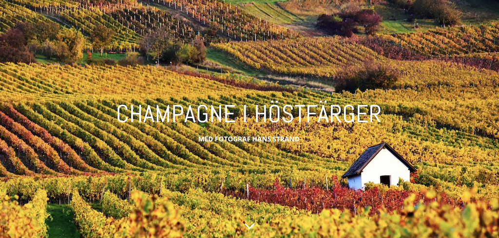 Skärmavbild 2022-12-08 kl. 11.38.08.png