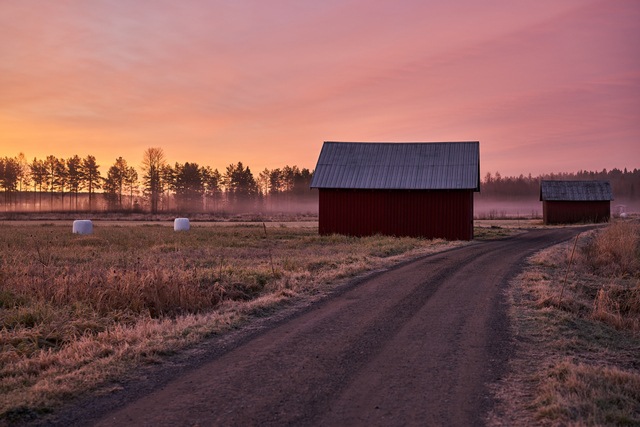 Samyang 50mm f1.4 II_27w.jpg