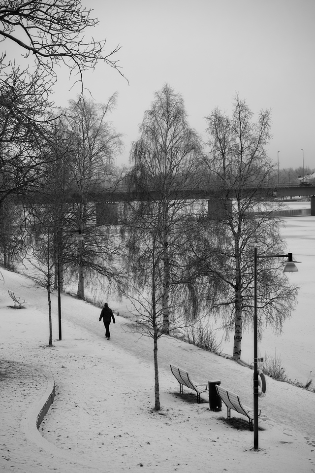 nikon z50 250 dx_33w.jpg