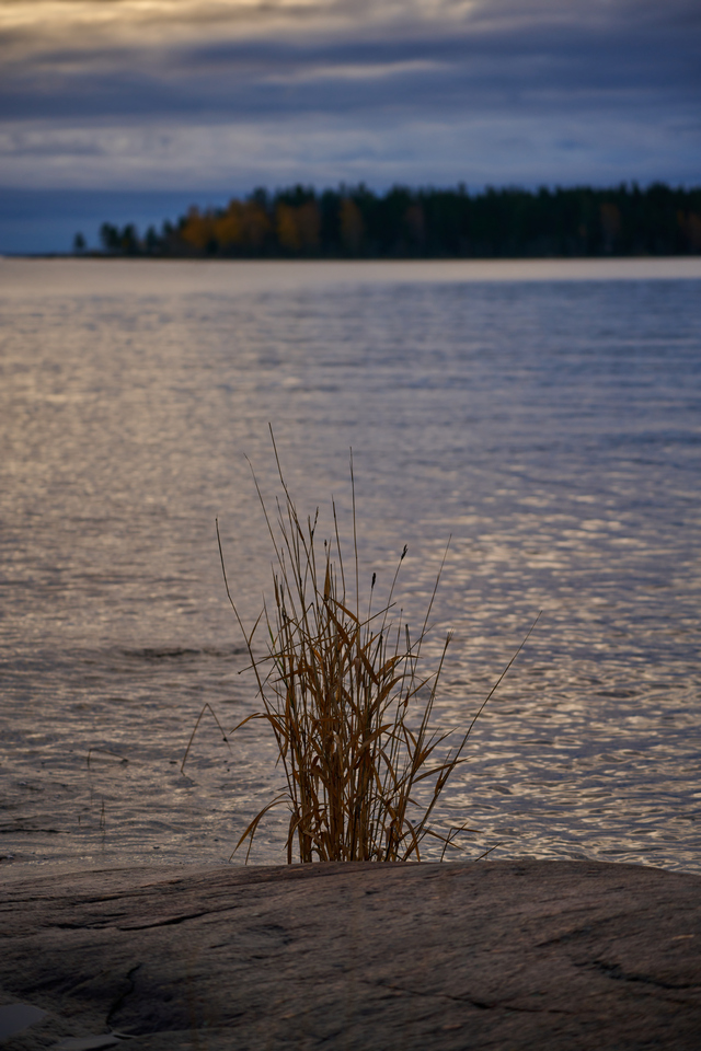 Tamron 70-300 Nikon Z_11w.jpg