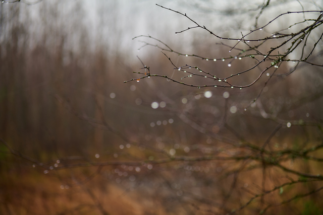 Panasonic S 50mm f1.4_16w.jpg