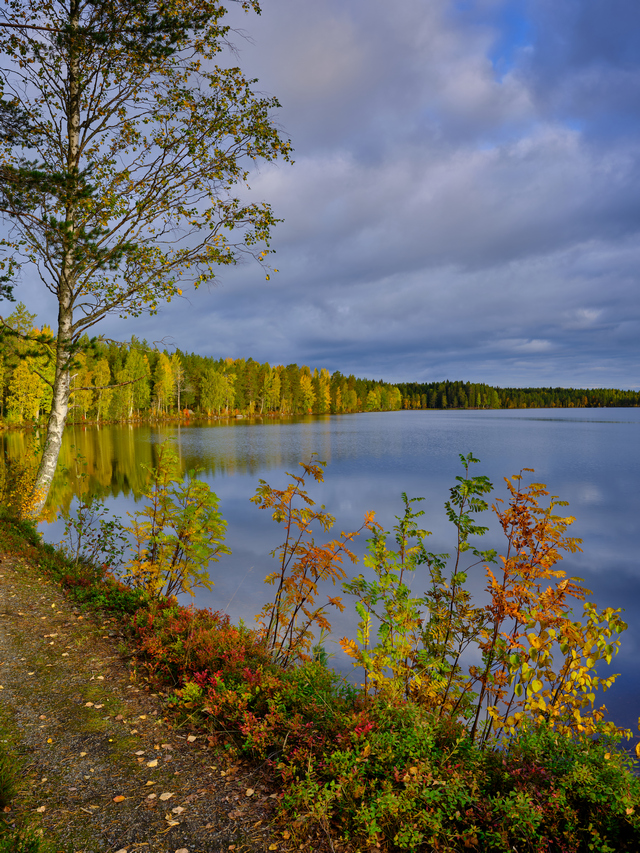 Fujifilm GF 35 70mm_24w.jpg