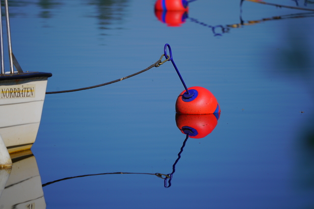 sony_fe_200 600mm_24w.jpg