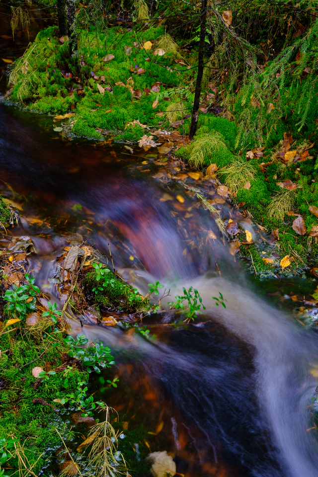 Fujifilm XF 33mm f1.4_10w.jpg