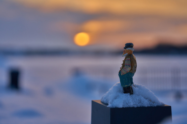 Sigma 65mm f2_22.jpg