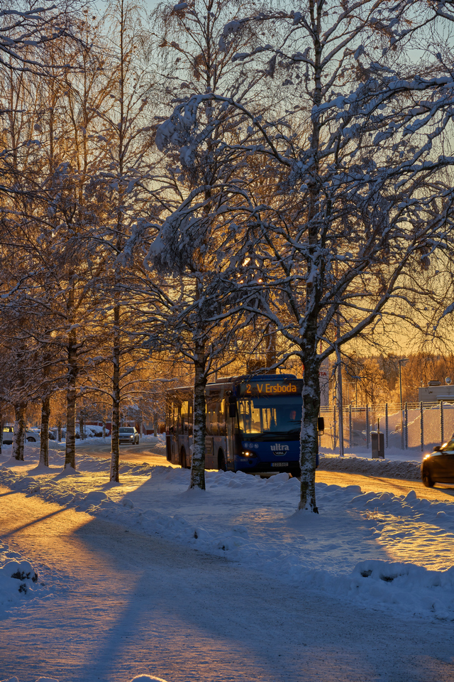 Sigma 100-400mm_3w.jpg