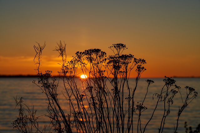 Tamron 35-150mm Sony_19w.jpg