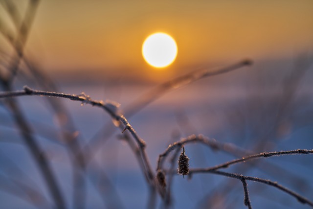 Sony FE 50mm f1.4 GM_12w.jpg