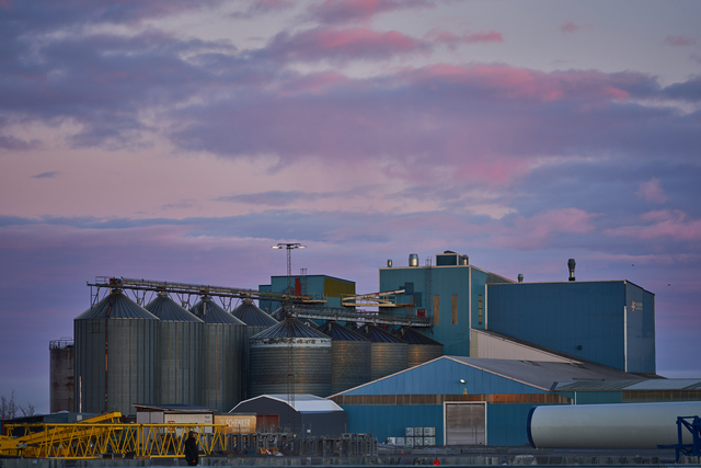 Tamron 35-150mm Sony_17w.jpg